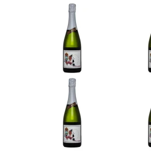 Pack de 6 botellas Brut Nature Gran Reserva 13 Estrellas de Salazar de Ignacio Goitia